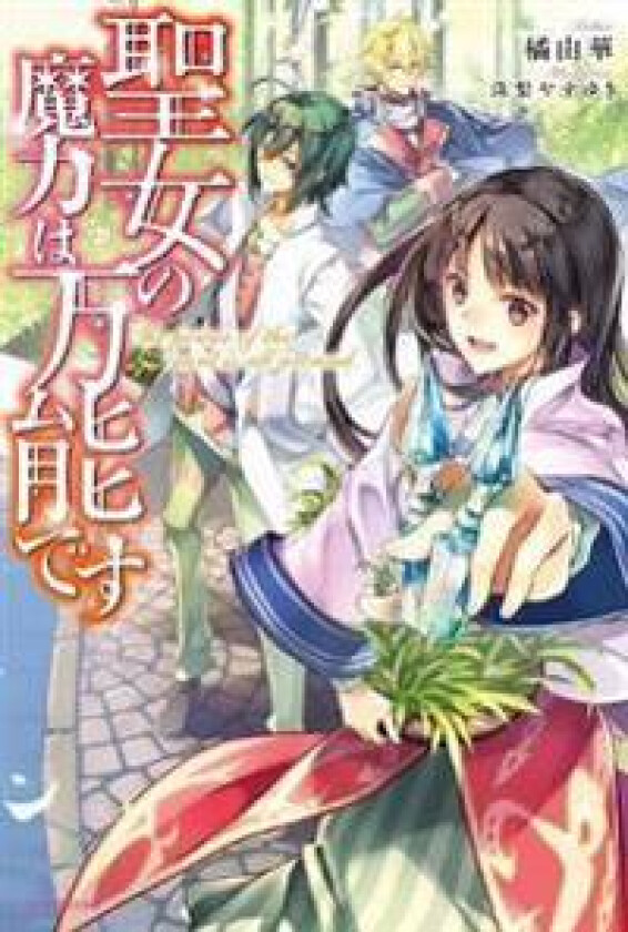 The Saint's Magic Power is Omnipotent (Light Novel) Vol. 1