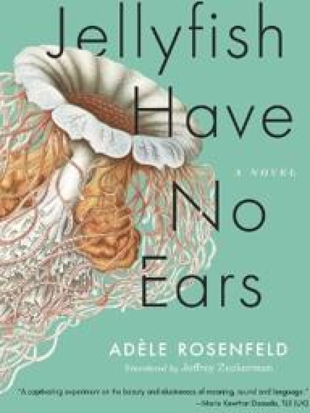 JELLYFISH HAVE NO EARS