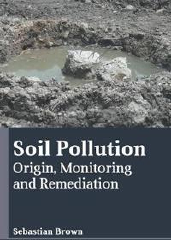 Soil Pollution: Origin, Monitoring and Remediation