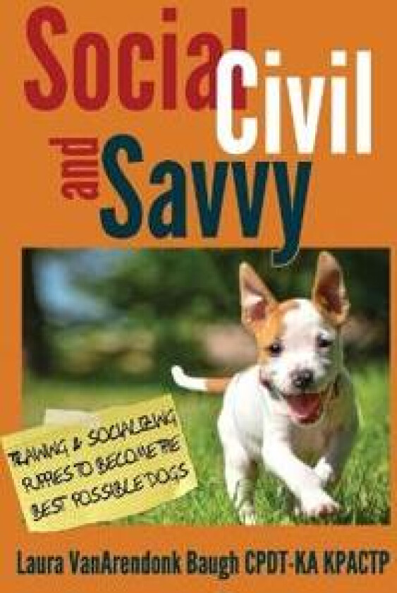 Social, Civil, and Savvy