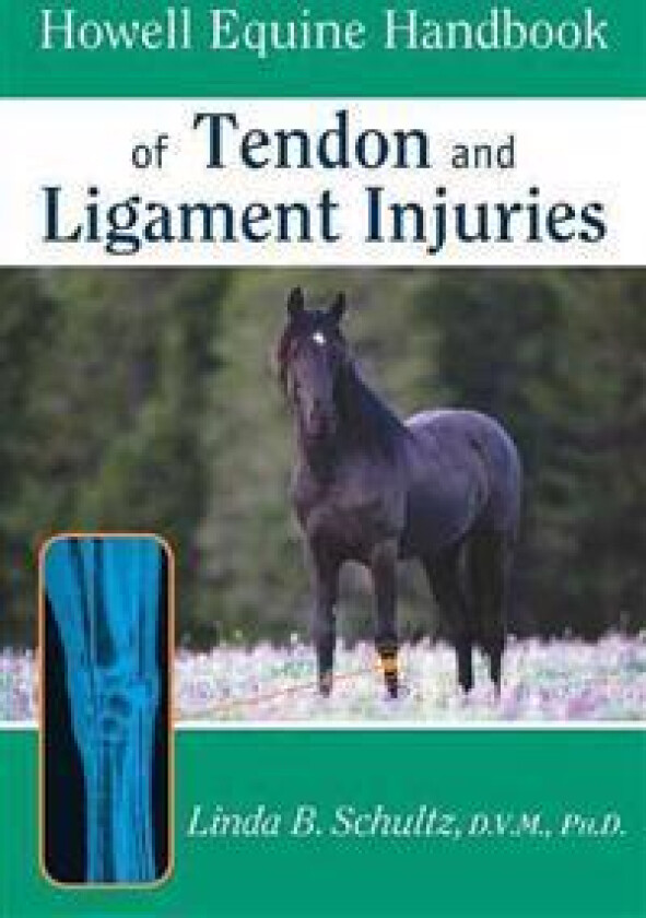 Howell Equine Handbook of Tendon and Ligament Injuries