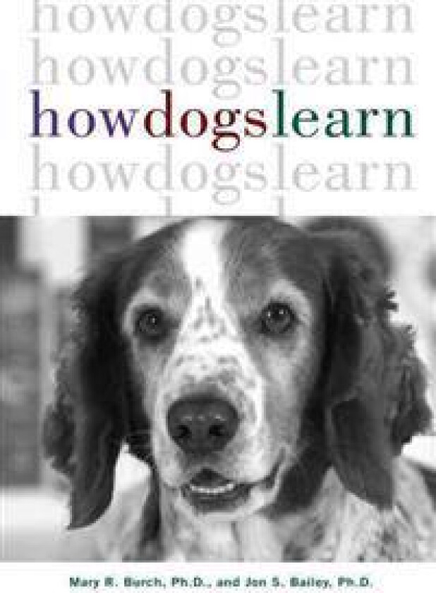 How Dogs Learn