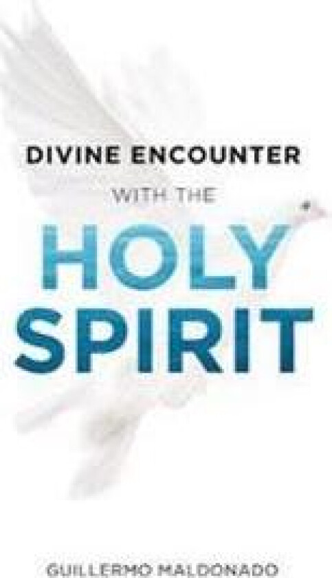 Divine Encounter with the Holy Spirit