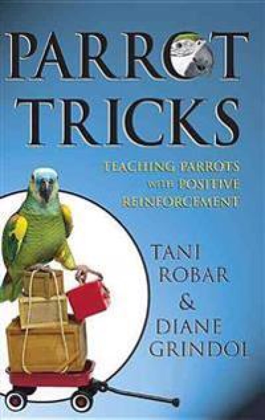 Parrot Tricks