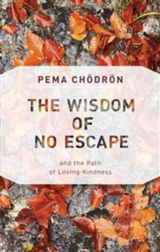 The Wisdom of No Escape