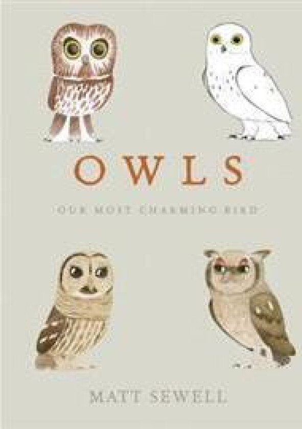 Owls: Our Most Charming Bird