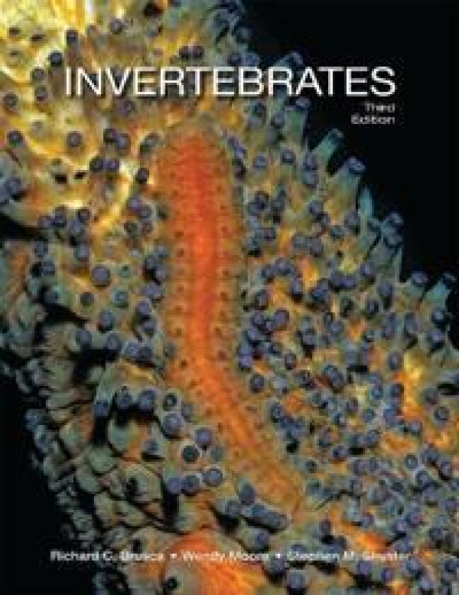 Bilde av Invertebrates