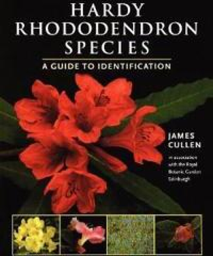 Hardy Rhododendron Species