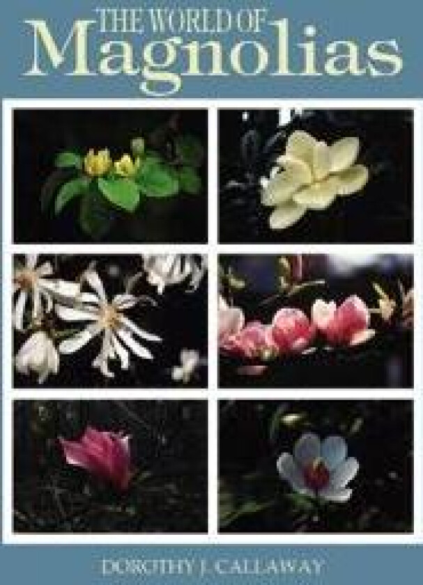 The World of Magnolias