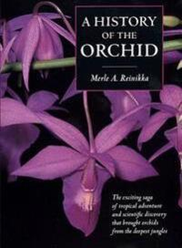 A History of the Orchid