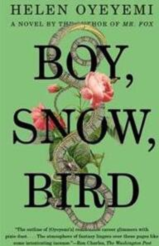 Boy, Snow, Bird