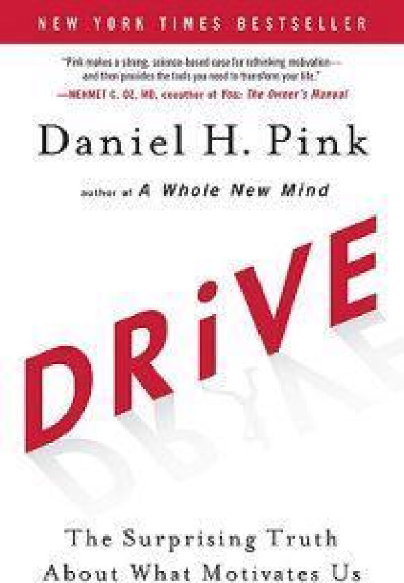 Drive: The Surprising Truth about What Motivates Us