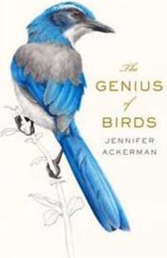 The Genius of Birds