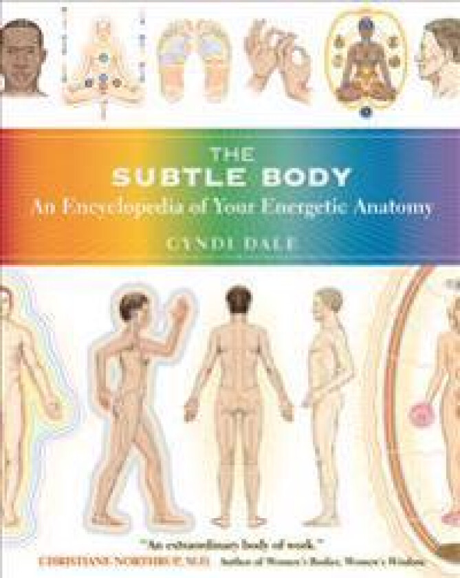 The Subtle Body