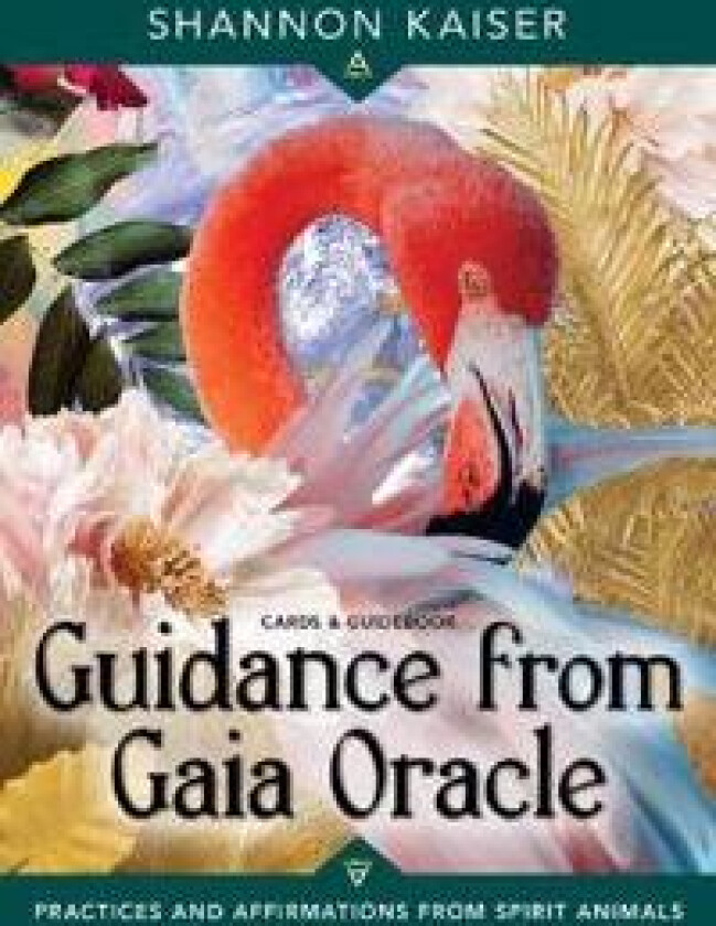 Guidance from Gaia Oracle