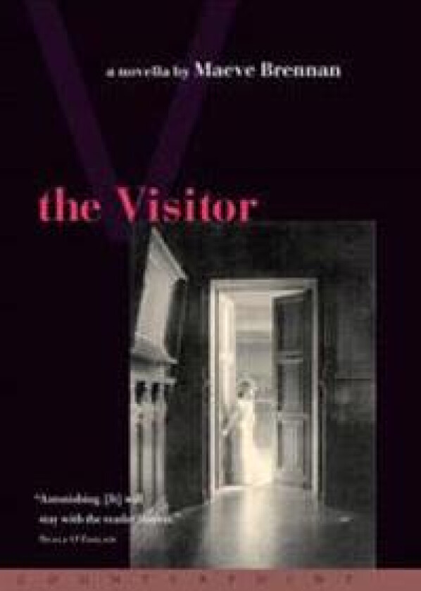The Visitor