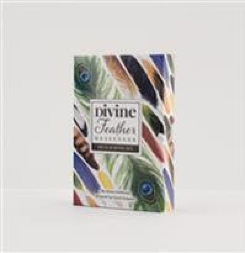 Divine Feather Messenger