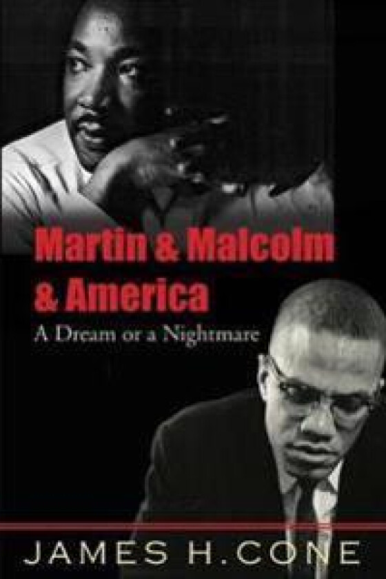 Martin and Malcolm and America