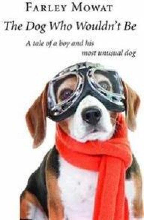 The Dog Who Wouldn't Be