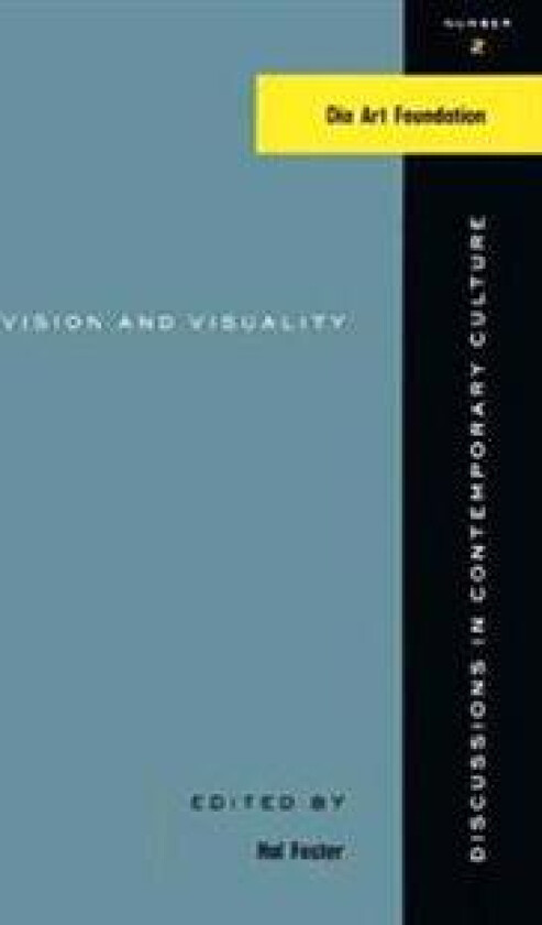 Vision And Visuality