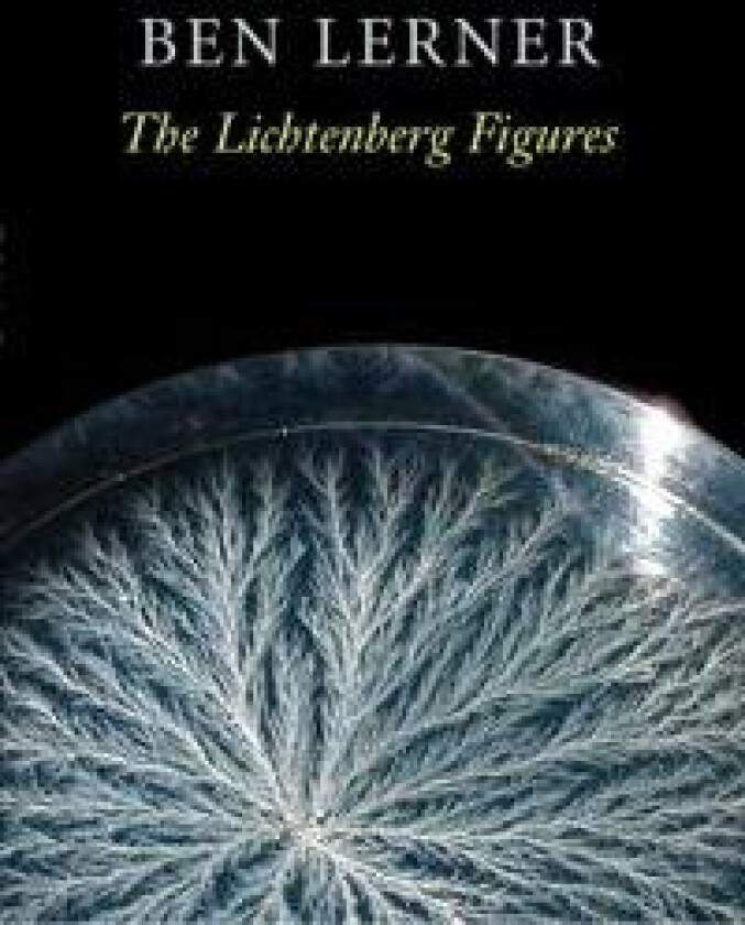 The Lichtenberg Figures