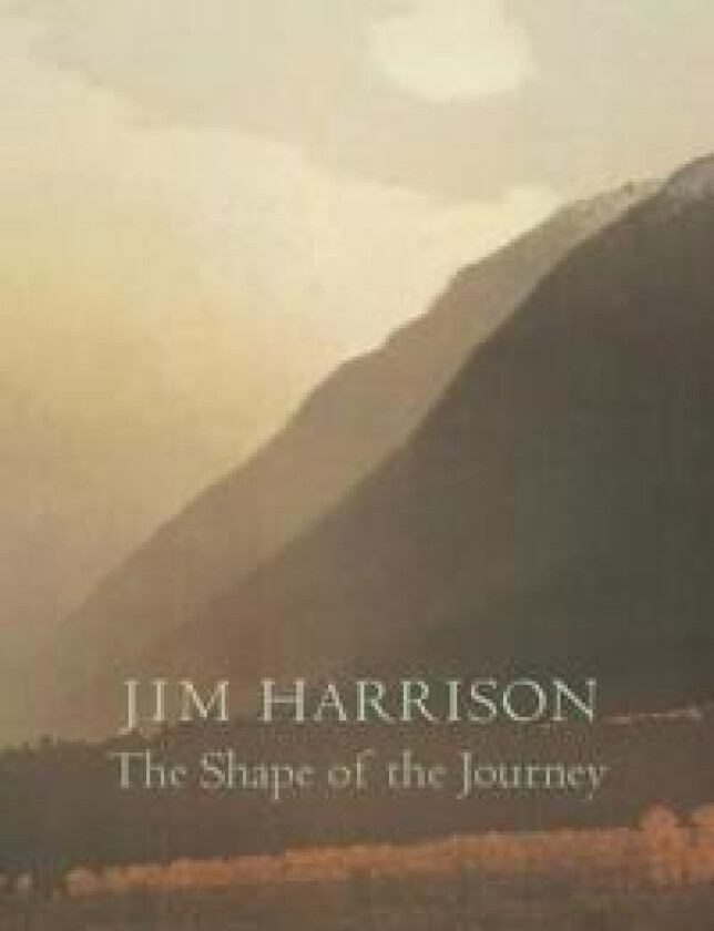 The Shape of the Journey