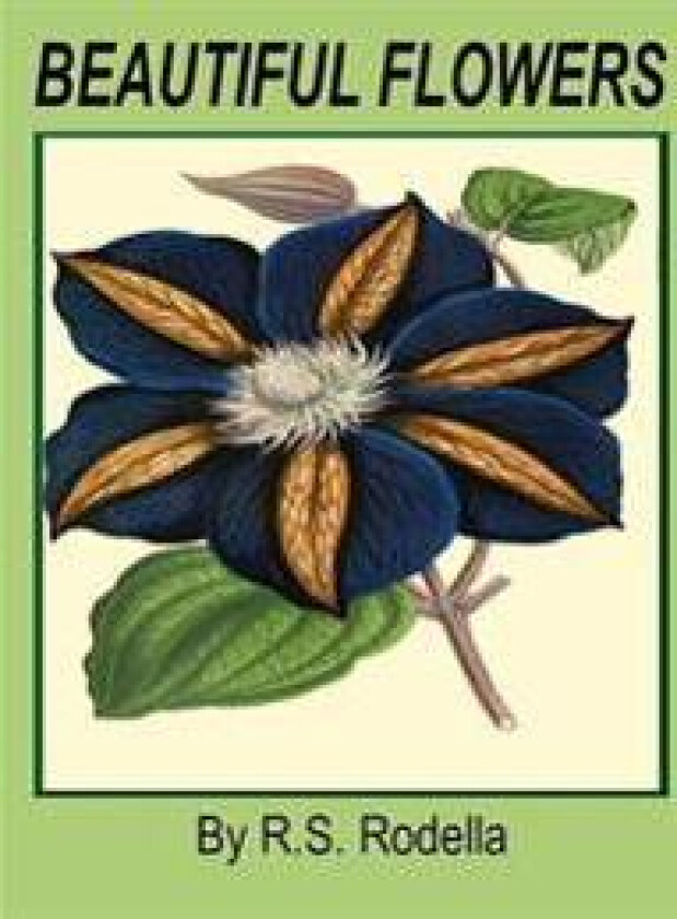 Beautiful Flowers: Coffee Table Book