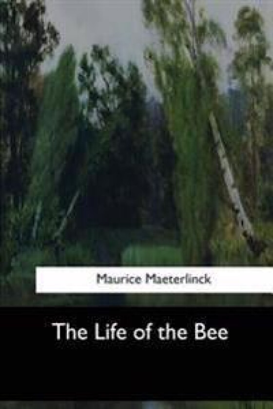 The Life of the Bee