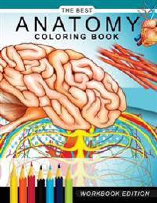 Anatomy coloring book: Muscles and Physiology Workbook Edition