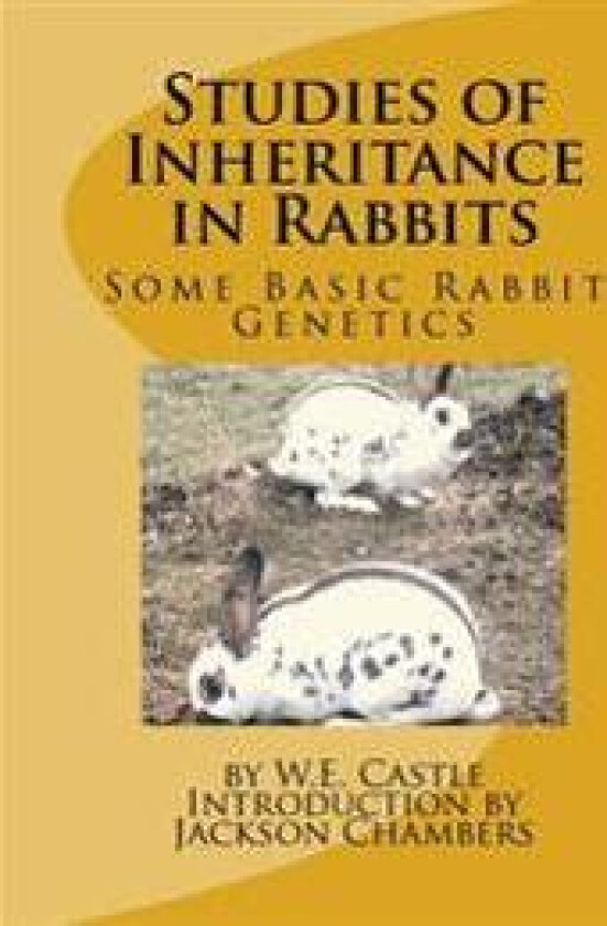 Studies of Inheritance in Rabbits: Some Basic Rabbit Genetics
