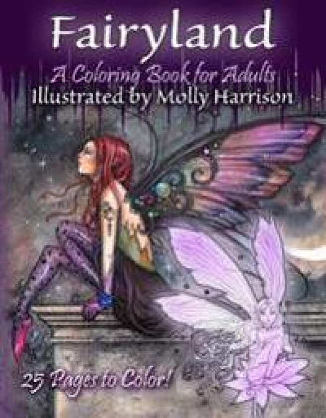 Fairyland - A Coloring Book For Adults