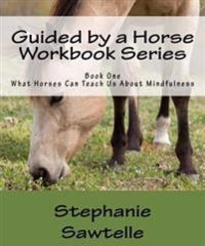 Guided by a Horse Workbook Series