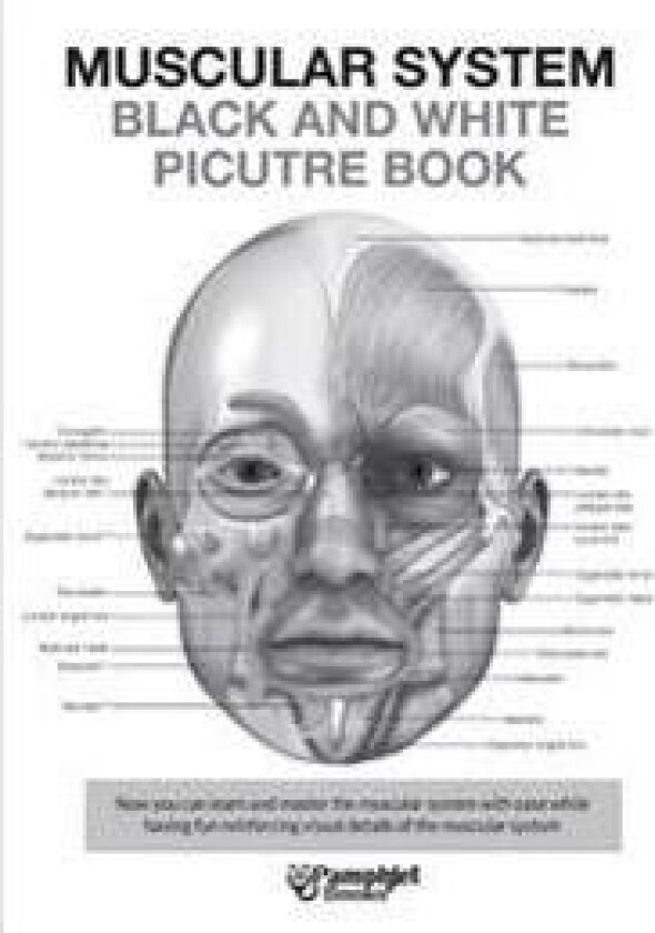Muscular System Black and White Picture Book: Guide for the Muscular System