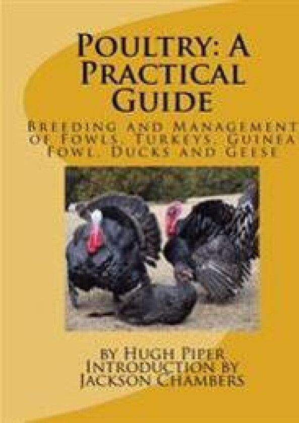 Poultry: A Practical Guide: Breeding and Management of Fowls, Turkeys, Guinea Fowl, Ducks and Geese
