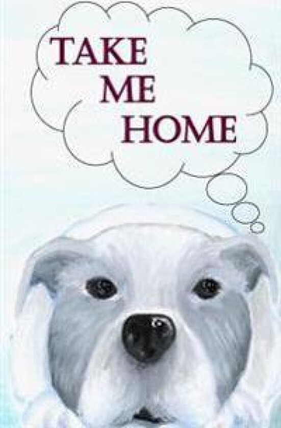 Take Me Home