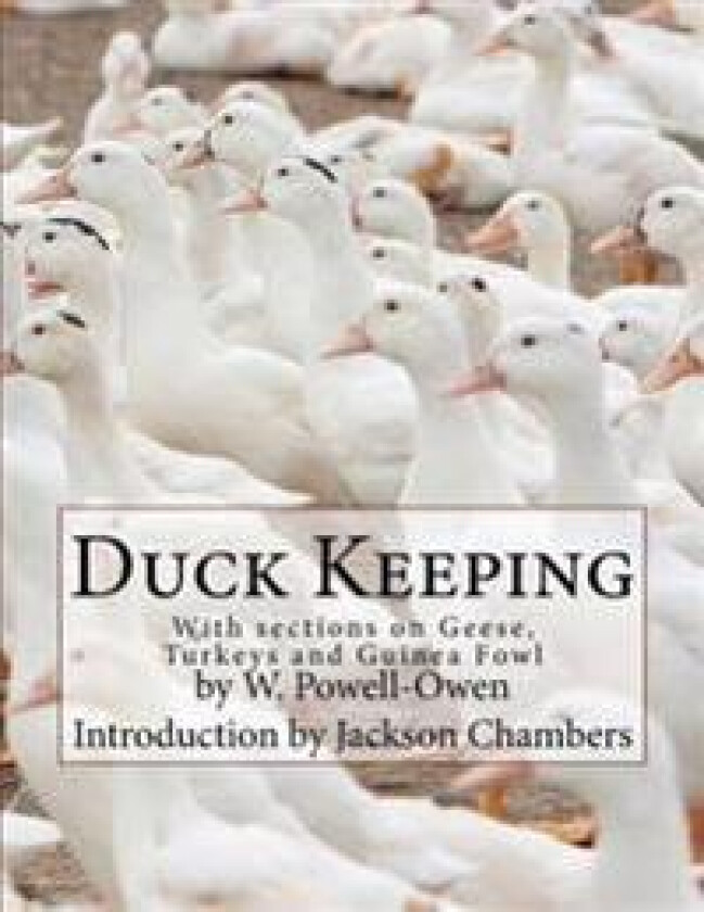 Duck Keeping: With sections on Geese, Turkeys and Guinea Fowl