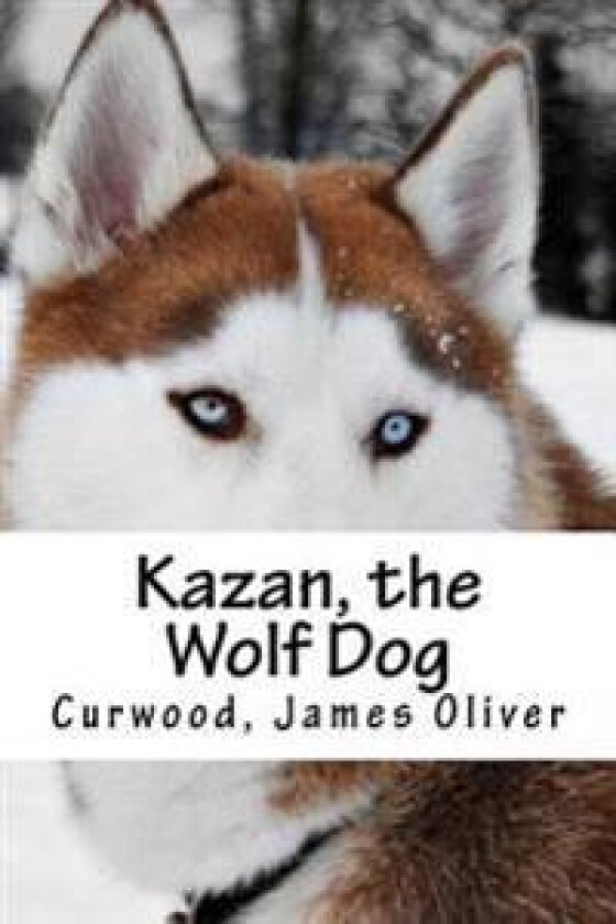 Kazan, the Wolf Dog