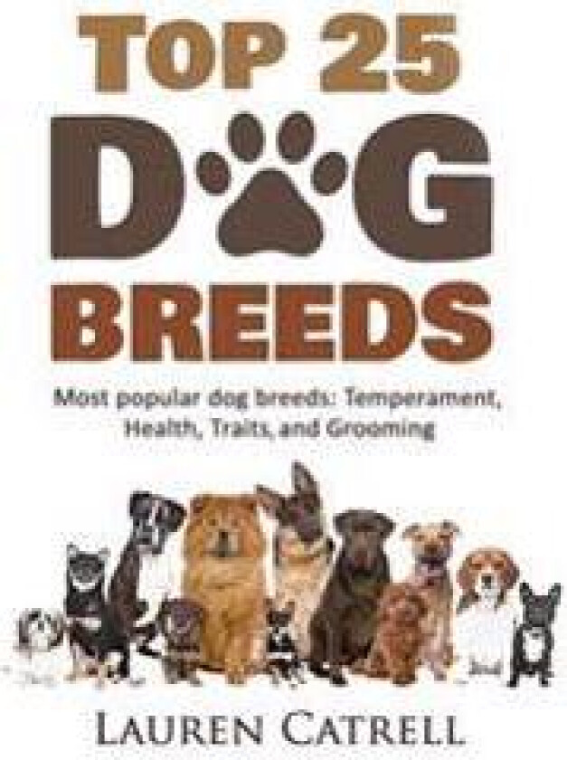 Top 25 Dog Breeds: Most Popular Dog Breeds: Temperament, Health, Traits, Grooming
