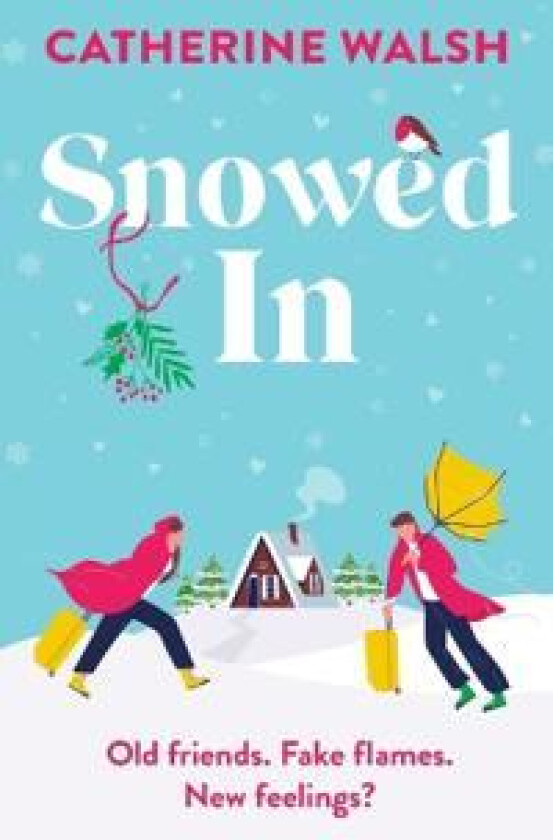 SNOWED IN
