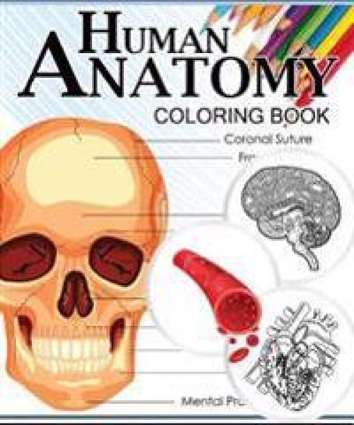 Human Anatomy Coloring Book: Anatomy & Physiology Coloring Book 3rd Edtion