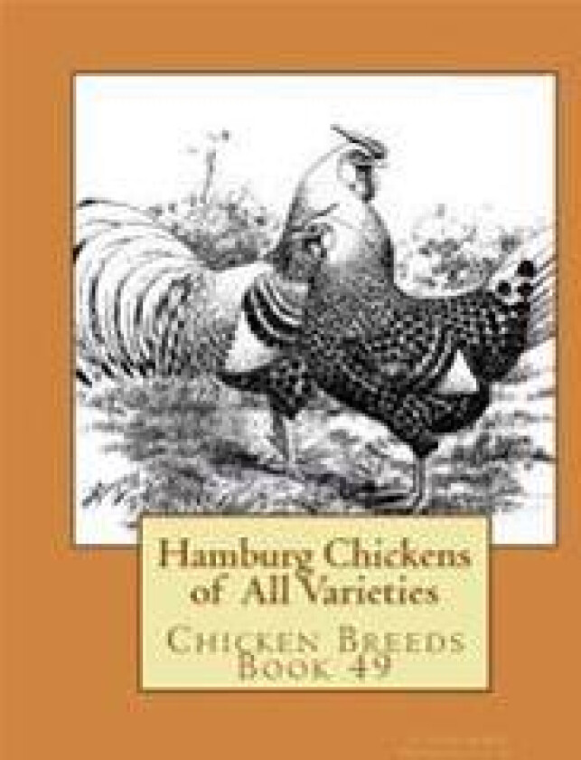 Hamburg Chickens of All Varieties: Chicken Breeds Book 49