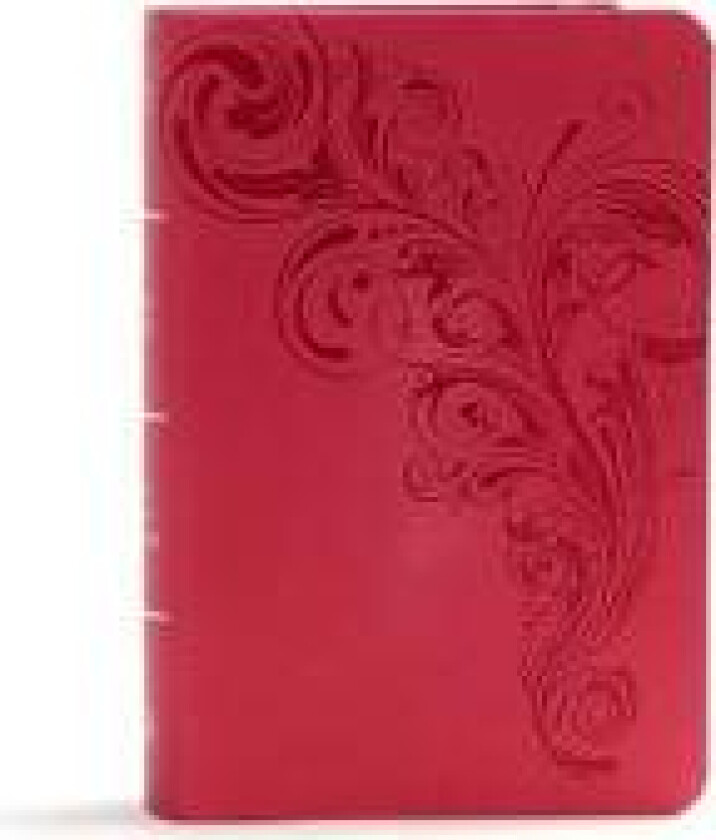KJV Large Print Compact Reference Bible, Pink LeatherTouch