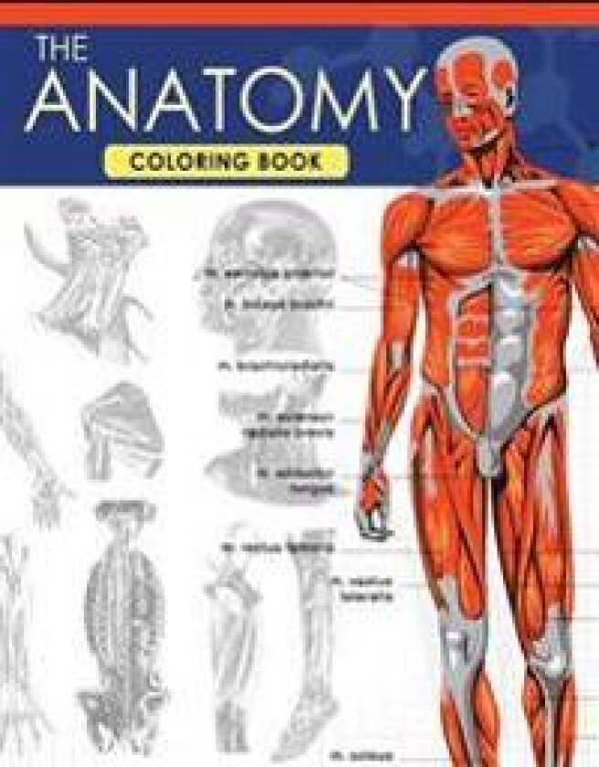 The Anatomy Coloring Book: A Complete Study Guide (9th Edition)