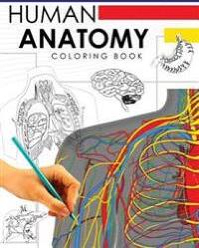 Human Anatomy Coloring Book: A Complete Study Guide (5th Edition)