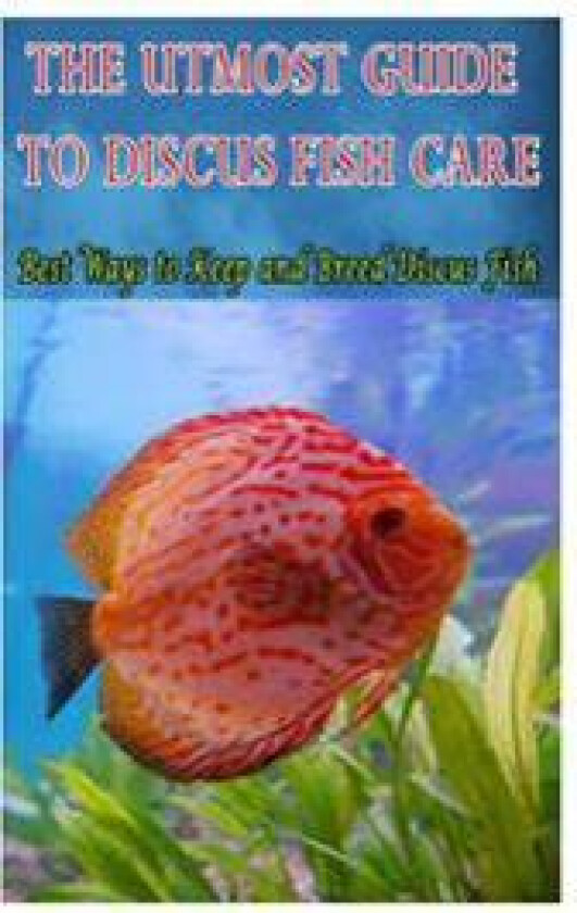 The Utmost Guide to Discus Fish Care: Best Ways to Keep and Breed Discus Fish