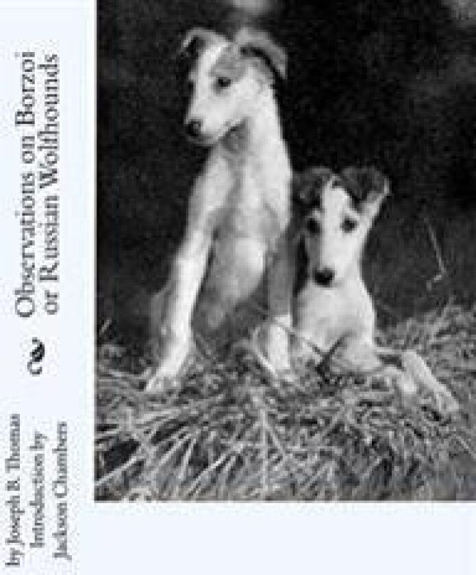 Observations on Borzoi or Russian Wolfhounds