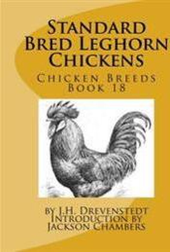 Standard Bred Leghorn Chickens: Chicken Breeds Book 18