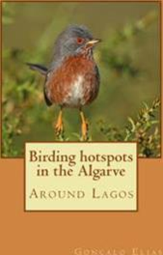 Birding hotspots in the Algarve: Around Lagos