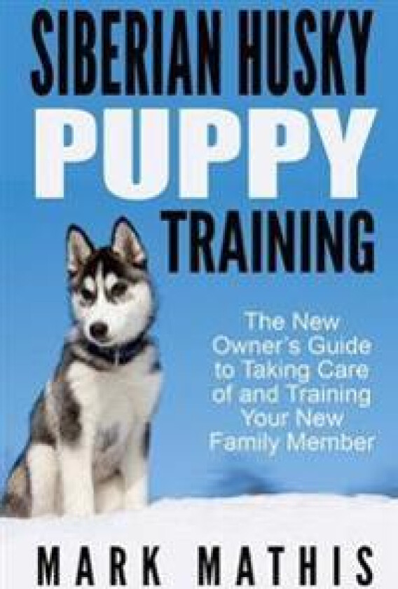 Siberian Husky Puppy Training