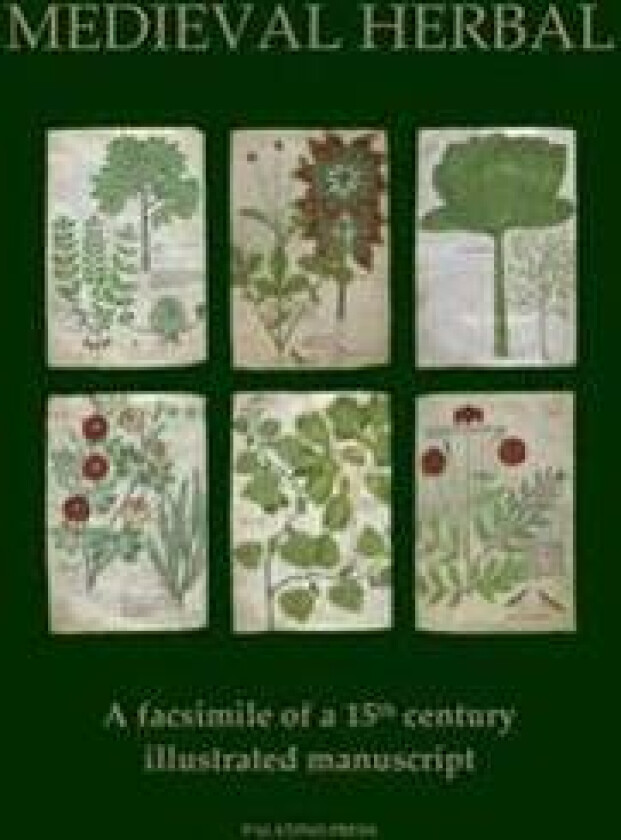 Medieval Herbal: A Facsimile of a 15th Century Illustrated Manuscript